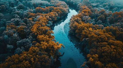 Wall Mural - a river with trees on both sides. the trees are orange and the water is blue. the image has a peacef
