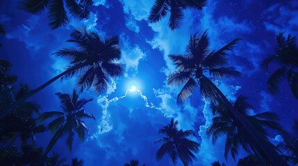 Wall Mural - a beautiful blue sky with a full moon and palm trees. the sky is clear and the moon is shining brigh