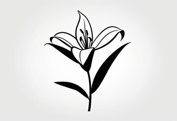 Wall Mural - Vector Lily Flower Silhouette Icon, Isolated on White Background, Modern Flat Design, Floral Graphic, Nature Illustration.