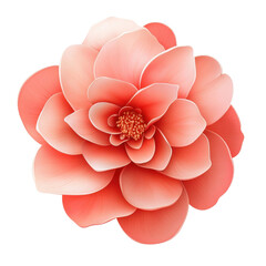 Wall Mural - A pink flower with a white background