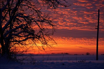 Wall Mural - a beautiful sunset over a snowy field with a tree in the foreground. the sky is filled with orange a