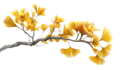 a branch of yellow leaves with a white background