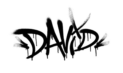 Wall Mural - Sprayed David name with overspray in black over white. Vector illustration.