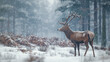 © MONWARA - A deer stands in the snow, looking to the right