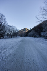 Wall Mural - Snowy walking track with a mountain view in the background.