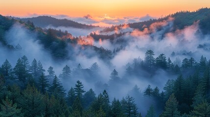 Wall Mural - Stunning photograph of a forest at dawn with fog and distant smoke from wildfires, emphasizing the need for climate change action and the delicate balance of natural habitats. high resolution