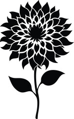 Black and white dahlia silhouette