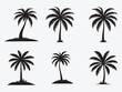 © Zahid - Black Palm Trees Set Isolated On White Background. Palm Silhouettes. Design Of Palm Trees For Posters, Banners, And Promotional Items. Vector Illustration.