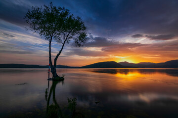 Wall Mural - sunset over the lake