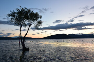 Wall Mural - sunset on the lake