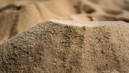 Wall Mural - fine sand grains