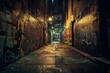 © Halina Berah - In Toronto, Ontario, graffiti alley at night can be seen in the Fashion District