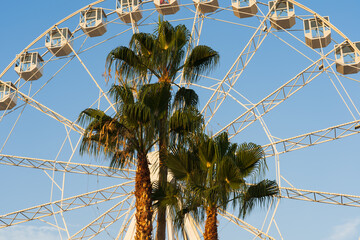 Palm trees and a Ferris wheel against a blue sky. Close-up photo.