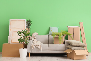 Sticker - Furniture, houseplants and cardboard boxes with belongings near green wall. Moving house concept