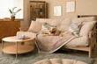 © Pixel-Shot - Relaxed australian shepherd dog lying on cozy sofa with toy in modern living room interior, the interior features a wooden coffee table with headphones and a magazine, a window with blinds