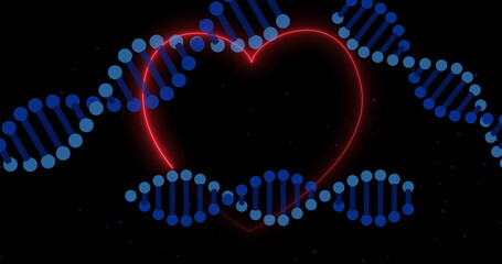 Sticker - DNA strands image over glowing red heart on black background