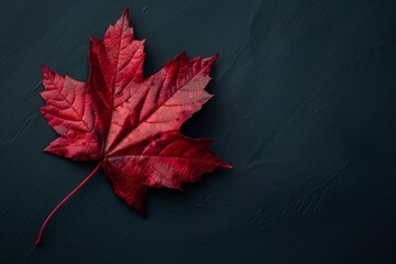 red maple leaf
