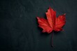 © mariam - red maple leaf