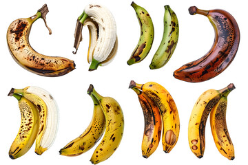 Wall Mural - A collection of ripe bananas in various stages of decay, isolated on transparent background