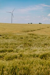 Windfarm on a wheatfield near Wilson, Kansas, United States Of America.