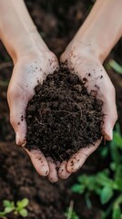 Wall Mural - The concept of World Soil Day