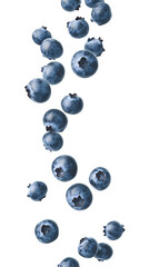 Dynamic Blueberries in Motion isolated on white background, full depth of field, transparent png background