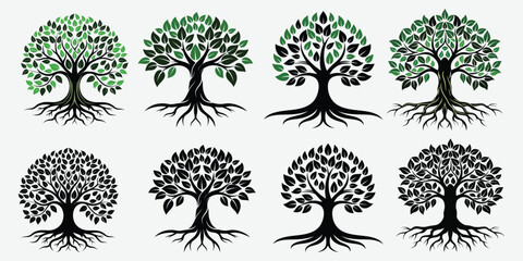 set of colourful and black banyan tree combo package collection, logo icon vector illustration desig