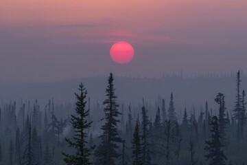 Poster - Sun Setting Over a Misty Forest