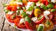 © sa-photo - vibrant tomato salad with basil leaves mozzarella cheese white plate