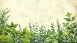© Thanakrit - Herb Garden Illustration Illustration of a flourishing herb garden with basil, cilantro, and mint, symbolizing freshness and culinary inspiration in design