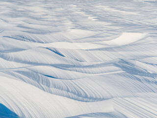 Wall Mural - Snow texture. Wind sculpted patterns on snow surface. Wind in the tundra and in the mountains on the surface of the snow sculpts patterns and ridges (sastrugi). Arctic, Polar region. Winter background