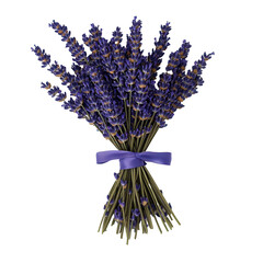 Wall Mural - A bundle of lavender tied with a ribbon on transparent background