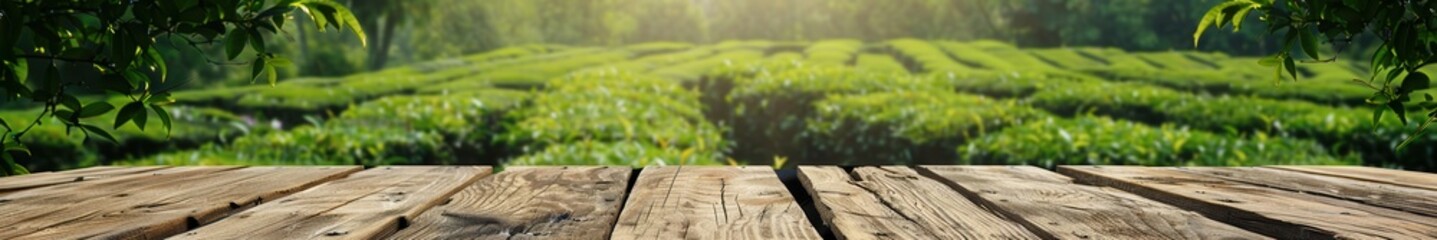 Empty rustic wooden table, green foliage background. Free copy space for banner.