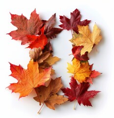 Sticker - Autumn Leaves Arranged Around Large Black Letter on White Background