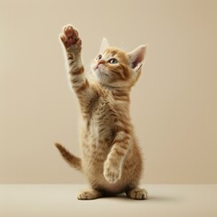 Sticker - Medium shot of A cute kitten standing on its hind legs, with paws raised, with soft 