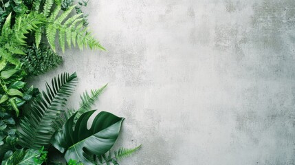 Wall Mural - lush green plants are artistically placed on a light concrete surface, creating a fresh and serene a
