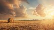 © The Little Hut - A field with golden haystacks with a cloudy sky at sunset or sunrise Procurement of animal feed in agriculture : Generative AI