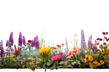 Wall Mural - Garden nature landscape outdoors.