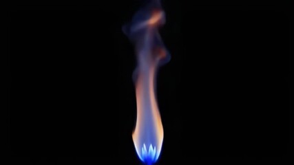 Wall Mural - an intense flame dances against a dark background, showcasing vibrant colors and mesmerizing movemen