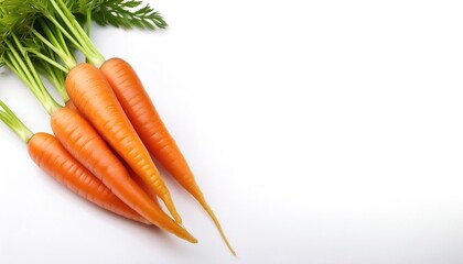 Wall Mural - carrot - Daucus carota subsp. sativus - is a tap root vegetable, typically orange in color, used in chopped and boiled, fried or steamed, and cooked in soups and stews, as well as baby and pet foods.