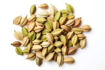 Canvas Print - Cardamom plant food white background.