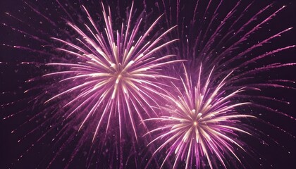 An image of two pink fireworks exploding in the night sky. The fireworks are bright and colorful, creating a sense of celebration.