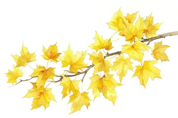 Wall Mural - Golden autumn maple leaves illustration