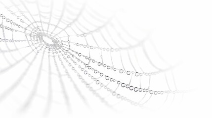Wall Mural - spider web