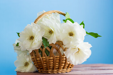 Wall Mural - beautiful white roses in a basket on a blue background