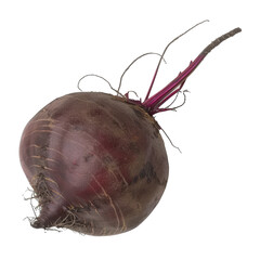 Isolated Beetroot on Transparent Background