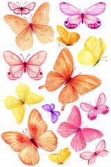 butterflies set watercolor painting illustration isolated background, colorful butterfly, art collec