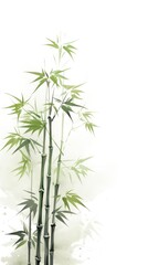 Poster - Bamboo plant weaponry branch.