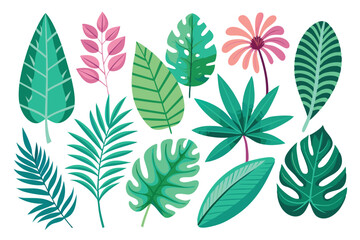 A Collection of Various Green and Pink Tropical Leaves