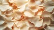 © savittree - Beautiful arrangement of soft beige and cream petals, perfect for a refined and elegant floral-themed design